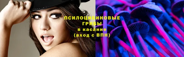 молекула духа Магас