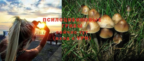 mdma Лиски