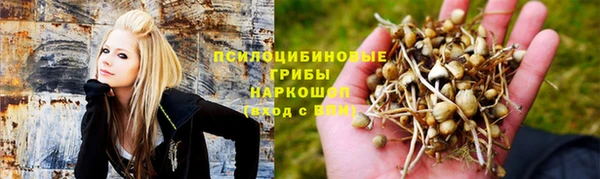 дурь Лихославль