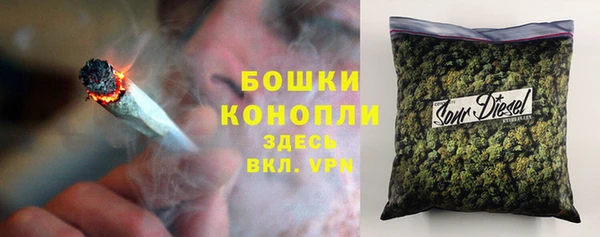 амф Ладушкин