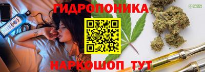 круглые Кингисепп
