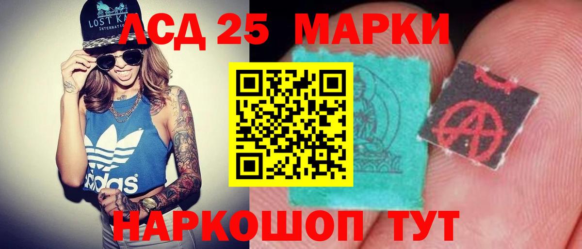 Курчатов  ЛСД экстази кислота  ЛСД экстази кислота  Вход с VPN 