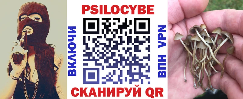 Галлюциногенные грибы ЛСД  где продают   OMG маркетплейс  Курчатов 