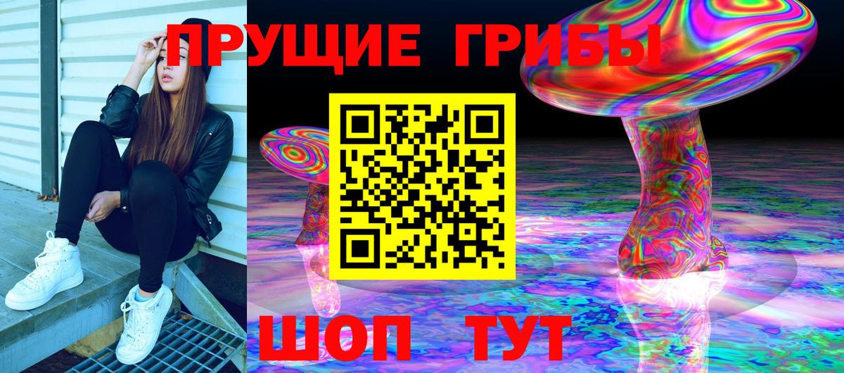 Псилоцибиновые грибы Cubensis Курчатов