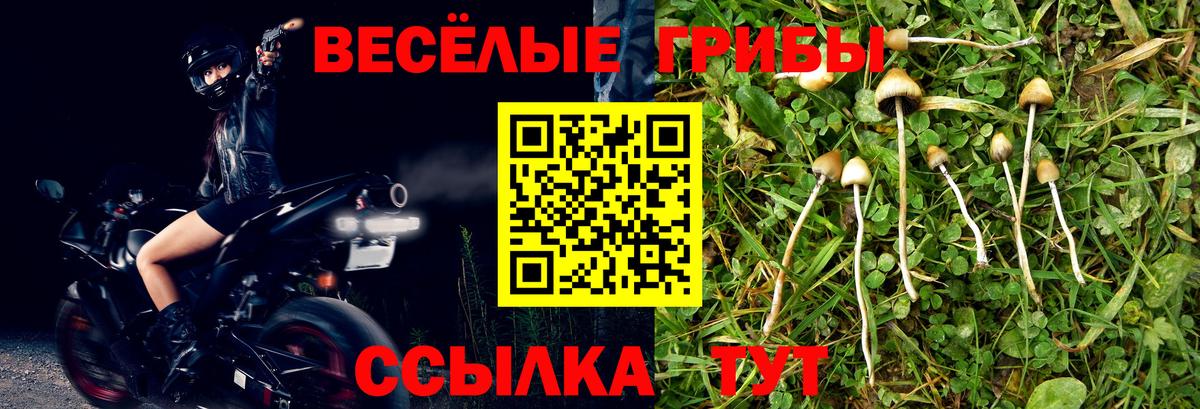 Псилоцибиновые грибы GOLDEN TEACHER  Вход с VPN  что такое   Курчатов 
